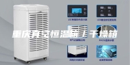 重庆真空恒温箱／干燥箱