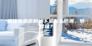 居住在北京的地下室怎么防潮，防异味？
