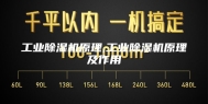 工业除湿机原理,工业除湿机原理及作用