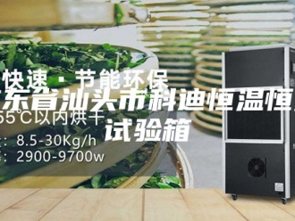 常见问题广东省汕头市科迪恒温恒湿试验箱