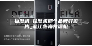 抽湿机_抽湿机那个品牌好图片_浙江临海抽湿机