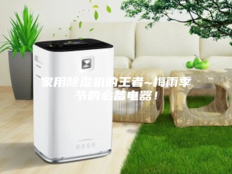 行业新闻家用除湿机的王者~梅雨季节的必备电器！