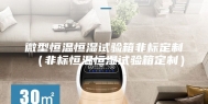 微型恒温恒湿试验箱非标定制（非标恒温恒湿试验箱定制）