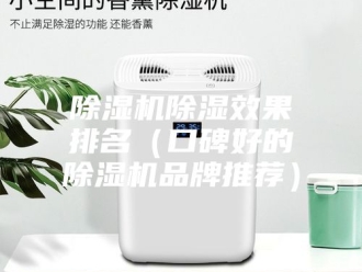 企业新闻除湿机除湿效果排名（口碑好的除湿机品牌推荐）