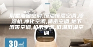 别墅酒窖空调,恒温恒湿空调,除湿机,净化空调,精密空调,地下酒窖空调,机房空调,低温低湿空调