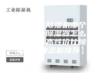 企业新闻2023年除湿机哪个品牌好？除湿器怎么选购？【高性价比除湿机／抽湿机推荐】