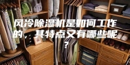 风冷除湿机是如何工作的，其特点又有哪些呢？