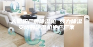 大面积厂房除湿机 强力除湿安诗曼除湿机生产厂家