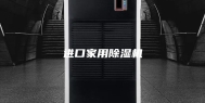 进口家用除湿机