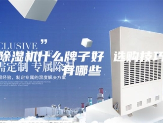 企业新闻除湿机什么牌子好 选购技巧有哪些