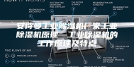 安诗曼工业除湿机厂家工业除湿机原理—工业除湿机的工作原理及特点