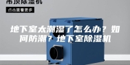 地下室太潮湿了怎么办？如何防潮？地下室除湿机