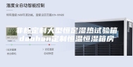 非标定制大型恒定湿热试验箱daohan定制恒温恒湿箱房