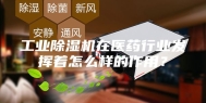 工业除湿机在医药行业发挥着怎么样的作用？