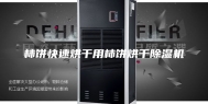 柿饼快速烘干用柿饼烘干除湿机