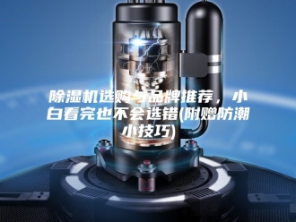 企业新闻除湿机选购与品牌推荐，小白看完也不会选错(附赠防潮小技巧)