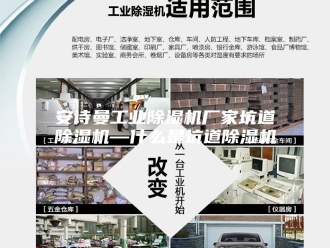 企业新闻安诗曼工业除湿机厂家坑道除湿机—什么是坑道除湿机