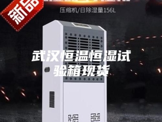 常见问题武汉恒温恒湿试验箱现货