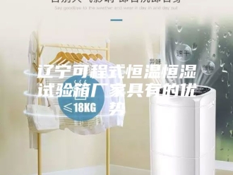 常见问题辽宁可程式恒温恒湿试验箱厂家具有的优势