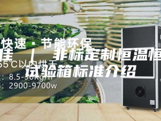 常见问题立佳 ｜ 非标定制恒温恒湿试验箱标准介绍