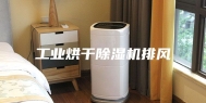 工业烘干除湿机排风