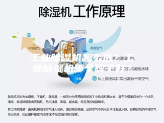 行业新闻工业除湿机怎么选？工业除湿机哪个牌子好？