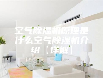 行业新闻空气除湿机原理是什么空气除湿机介绍【详解】