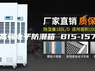知识百科高强电子防潮箱 B15-157