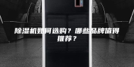 除湿机如何选购？哪些品牌值得推荐？