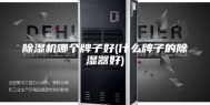 除湿机哪个牌子好(什么牌子的除湿器好)