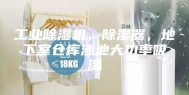 工业除湿机，除湿器，地下室仓库泳池大功率吸湿