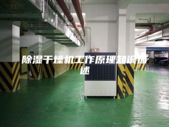 企业新闻除湿干燥机工作原理知识描述