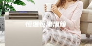 恒温恒湿湿箱
