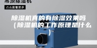 除湿机真的有除湿效果吗（除湿机的工作原理是什么）
