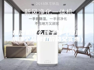 企业新闻抽湿机什么牌子好（除湿机哪个品牌好价格又实惠）