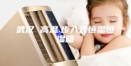 武汉 高温.步入式恒温恒湿箱