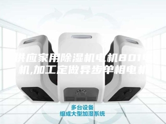 常见问题供应家用除湿机电机801电机,加工定做异步单相电机