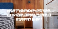 除湿干燥机的特点有哪些由转轮除湿机和风巢除湿机共同作用的？