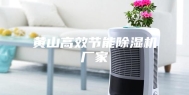 黄山高效节能除湿机厂家