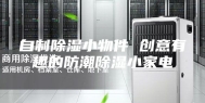 自制除湿小物件 创意有趣的防潮除湿小家电