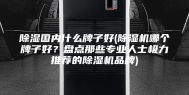 除湿国内什么牌子好(除湿机哪个牌子好？盘点那些专业人士极力推荐的除湿机品牌)