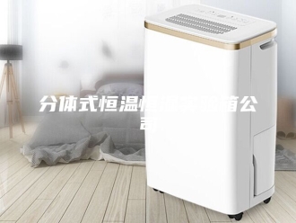 知识百科分体式恒温恒湿实验箱公司