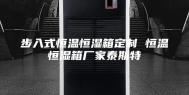 步入式恒温恒湿箱定制 恒温恒湿箱厂家泰斯特