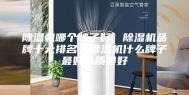 除湿机哪个牌子好，除湿机品牌十大排名，除湿机什么牌子最好品质最好