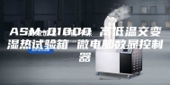 ASM-01000 高低温交变湿热试验箱 微电脑数显控制器