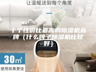 行业新闻十个性价比最高的除湿机品牌（什么牌子除湿机比较好）