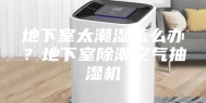 地下室太潮湿怎么办？地下室除潮空气抽湿机