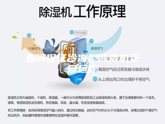 行业新闻如何保证冷冻型除湿机正常运作
