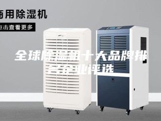 常见问题全球除湿机十大品牌排名企业评选