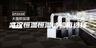武汉恒温恒湿试验箱选择